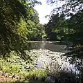 Lake Lena and the wetlands garden