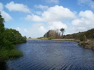 View of Lake Alice, the locality's namesake