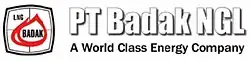 1977–2014: First Logo of Badak NGL since 1977.