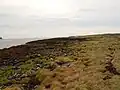 Bogland on Lampay