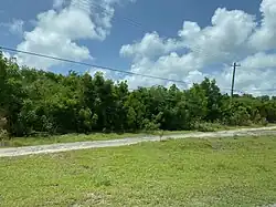Bush landscape in Vernons
