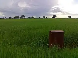 Landscape in La Alcarria