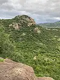 Landscape surrounding Zwelisha