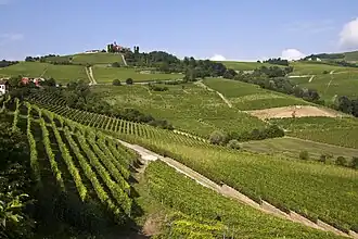 Image 71Vineyard Landscape of Piedmont: Langhe-Roero and Monferrato (from Culture of Italy)