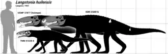 Skeleton restoration