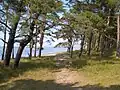 Lanken Nature Reserve