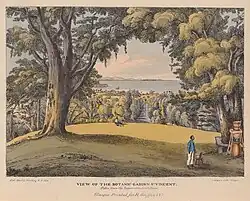Painting of the garden
