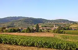 A general view of Lantignié