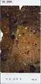 Micromorphological thin-section Lst-10305.