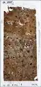 Micromorphological thin-section Lst-10307.