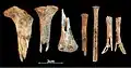 Burial 6. Perimortem fracture on long bones