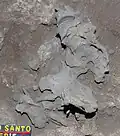 Burial 15. Excavation at exposition 11.