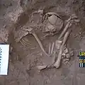 Burial 21 - The tubular parts of the lower legs were chopped and removed.