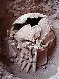 Burial 26 - Decapitation and amputated hands.