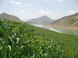 Lar Dam