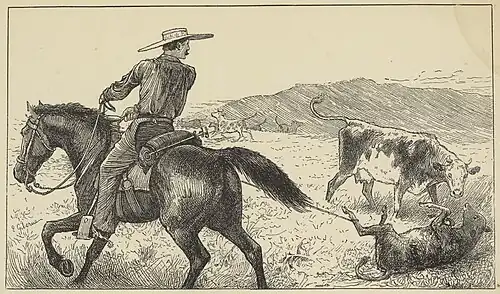Lassoing on the prairie (from the book Prairie Experiences in Handling Cattle and Sheep, by Major W. Shepherd, 1884)