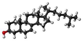 Ball-and-stick model of lathosterol
