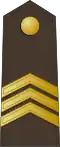 Seržants (Latvian Land Forces)[80]