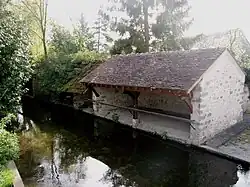 The laundry