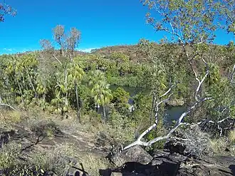 Lawn Hill Gorge