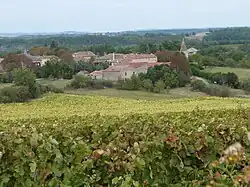 A general view of Amarens