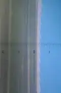 Magnified view of leaf; 0 to 1 = 1&nbsp;mm; the saw-like edge can cut human skin