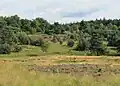 Leesterheide