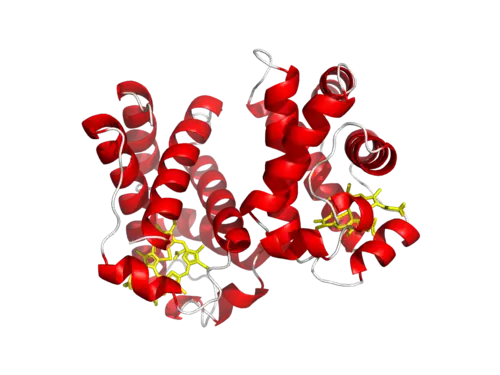 Leghemoglobin A from soybean.