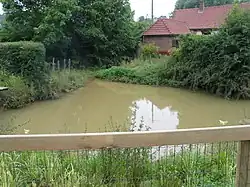 Lys header pool