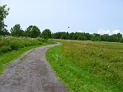 Trail through an open field near the airport