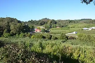 Lenswood and surrounding orchards
