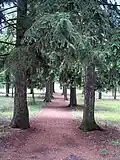 Main alley