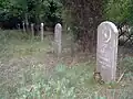 Muslim section