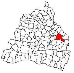 Location in Dolj County