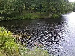 A large expanse of water with trees on the banks