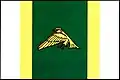 Flag of Libchavy