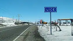 Lice under the snow