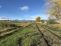 This photograph looks west along an overgrown rail line at the historic Liggett siding area just east of North 95th Street in unincorporated Boulder County, Colorado, with grassy right-of-way, cattails and pasture to the left, mature cottonwoods in fall color to the right, and the Flatirons and Front Range foothills on the horizon under a clear morning sky.