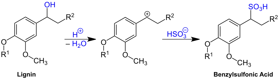 Generalized structure of lignosulfonates