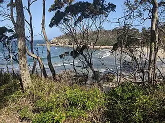 Lilli Pilli Beach
