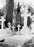 Hamilton's grave