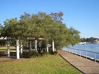 Sensory Park in Leichhardt Park