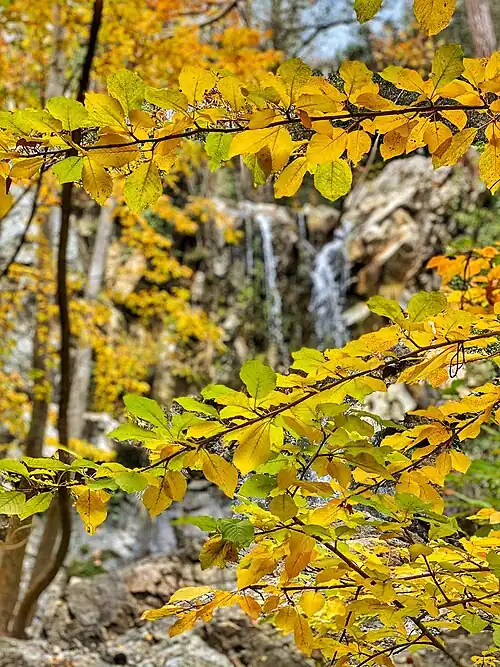 Caledonian Waterfalls, Limassol. Cyprus