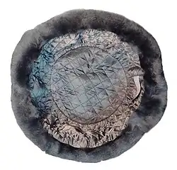 lining of an ushanka hat
