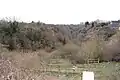 Lion Pit SSSI, looking south