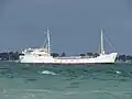 Side view of Lissa Solklint in Mangles Bay, August 2024.