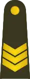 Vyresnysis seržantas (Lithuanian Land Force)[24]