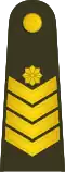 Seržantas majoras (Lithuanian Land Force)[38]