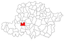 Location in Arad County