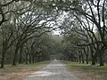 Oak avenue in winter, built early 1890s